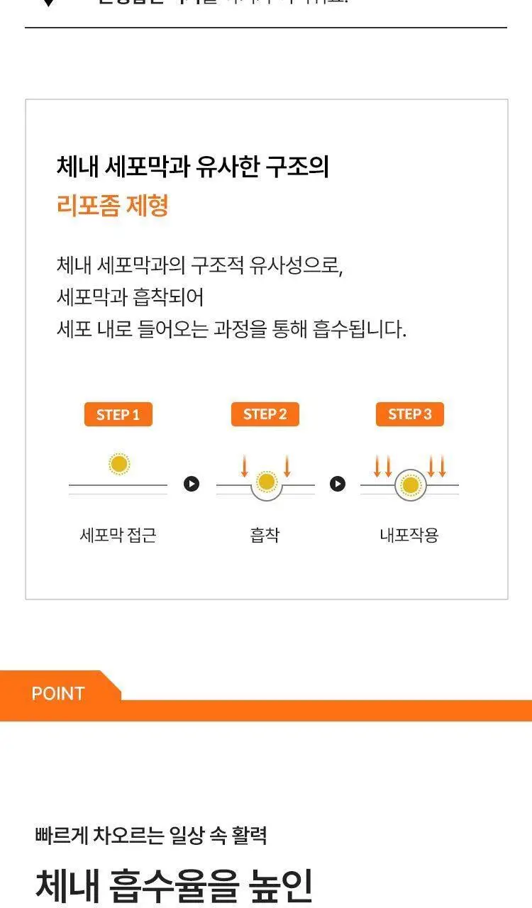 [1+1더블기획] 여에스더 리포좀 비타민C 파워퍼프걸 에디션 (총 2개월분) 상세페이지 10